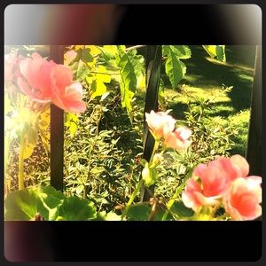 Meet your Posher, Margarita